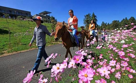 {老虎機}(清明节放假旅游推荐)